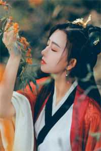 风月不同今昔完结版徐若鸿宋时恩