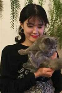入狱五年后，我学乖了林妤孟尘后续+全文