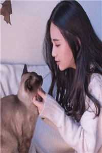 重生八零：退婚后痞帅霍少日夜宠霍端盛苒苒大结局